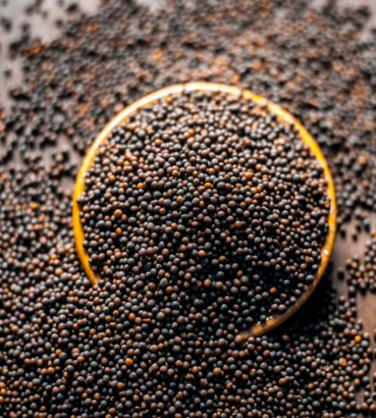 Black Mustard seed