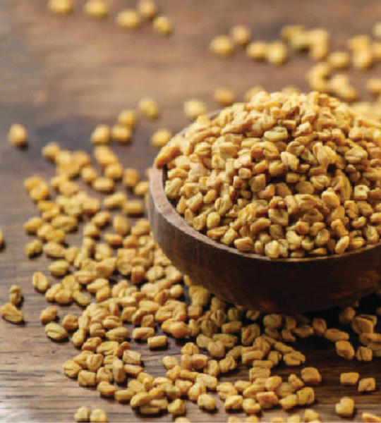 Fenugreek Seed (PER 1 KG)